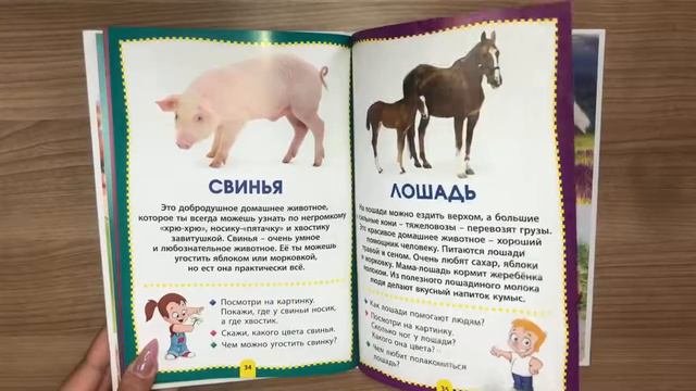 Домашние животные. Фотокнига для самых маленьких. Умный малыш