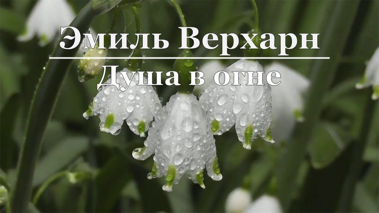 Эмиль Верхарн - Душа в огне