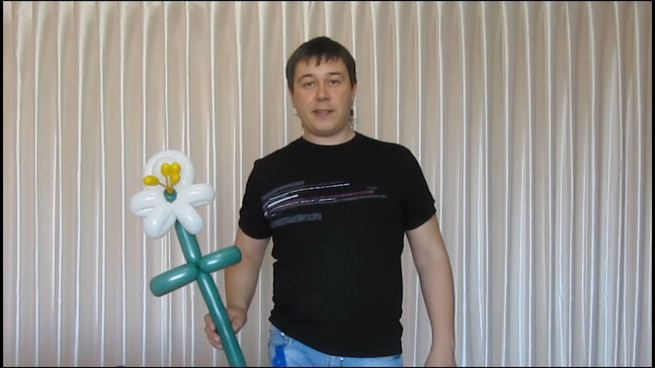 Башмачок Венеры