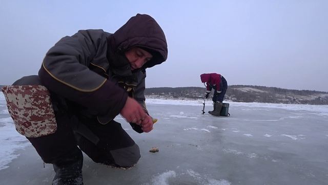 ЗАБУРИЛСЯ в ТОРОСАХ и НАШЁЛ ЛОГОВО ОКУНЕЙ | ЭТА МОРМЫШКА КОСИТ ВСЮ РЫБУ