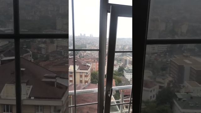 Приключение в Стамбуле: гости с четвероногим другом! 🐾🌆