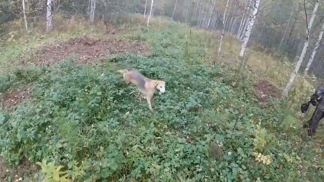 Начало сезона 2022.