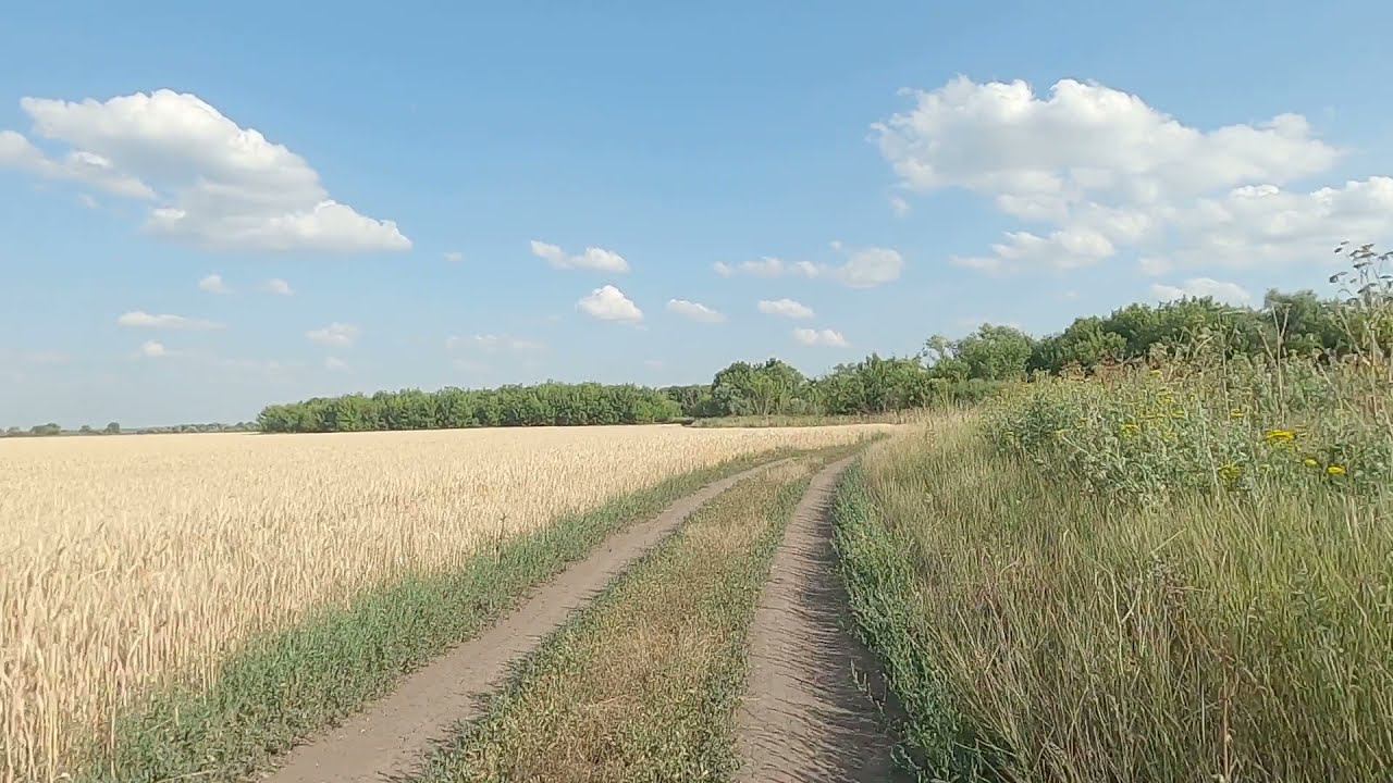 timelaps дорога на Дон