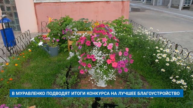 В МУРАВЛЕНКО ПОДВОДЯТ ИТОГИ КОНКУРСА НА ЛУЧШЕЕ БЛАГОУСТРОЙСТВО