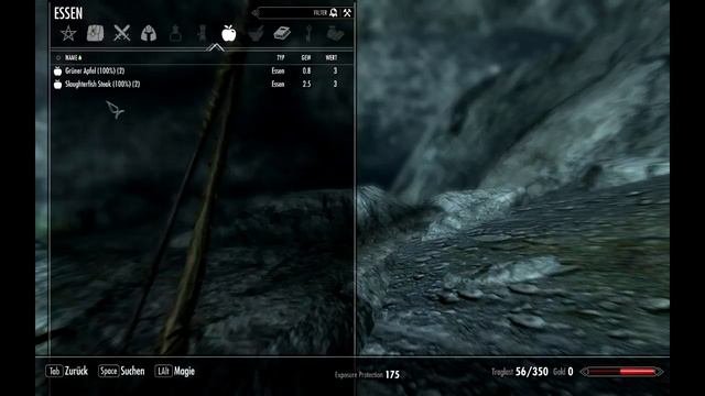 Lasst das Abenteuer beginnen - Lets Survival: Skyrim Hardcore Mode 1