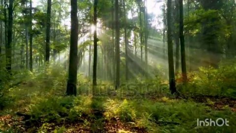 Attract Positive Energy || Relaxation, Healing & Cleansing Meditation Music.