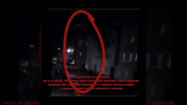факты о сереноголовом