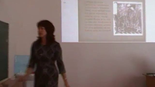 урок литературы в 9 а классе, МБОУ "Зубово- Полянская гимназия"