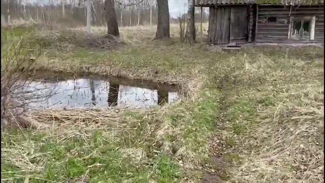 Мы создаём эко-поселение!!!