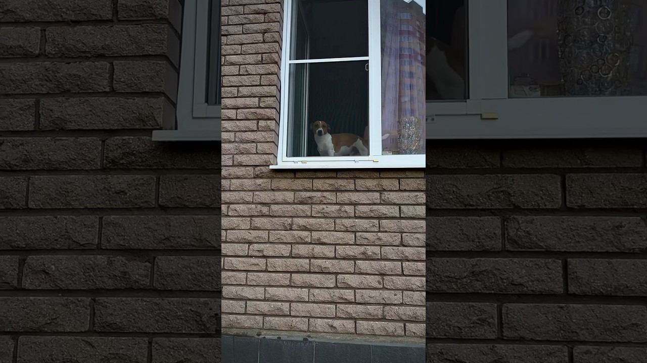 Дистантный выход