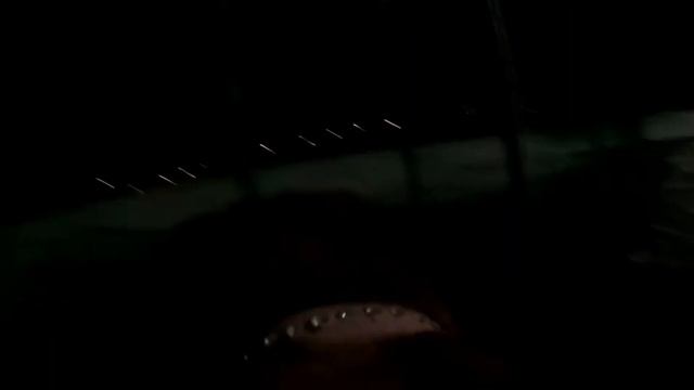 Night time walk with Aries (GoPro)