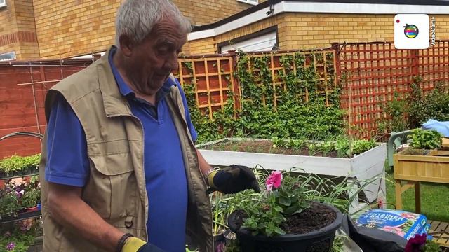 PLANTING UP THE HANGING BASKETS AND UP DATE IN BACK GARDEN