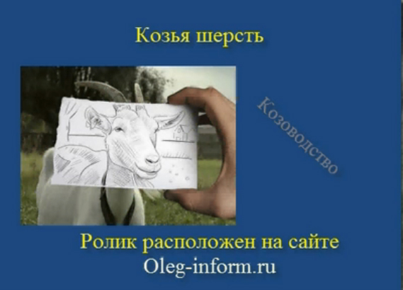 Козья шерсть