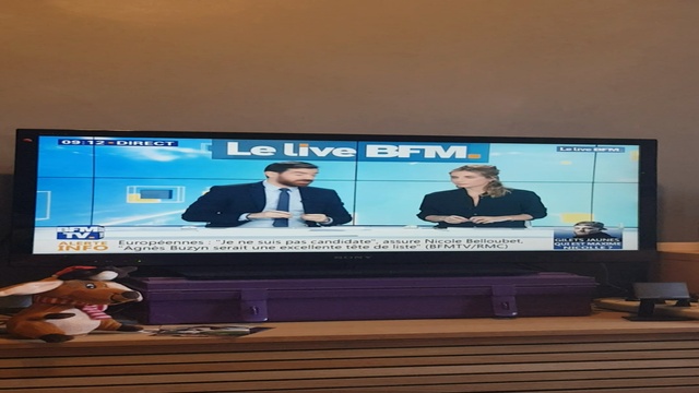 Ce Qui Dénature La France 