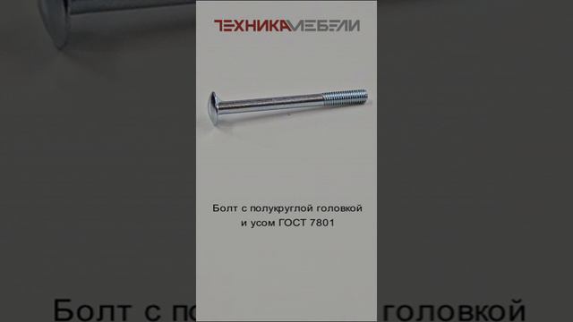 Болт с полукруглой головкой и усом ГОСТ 7801 шорт