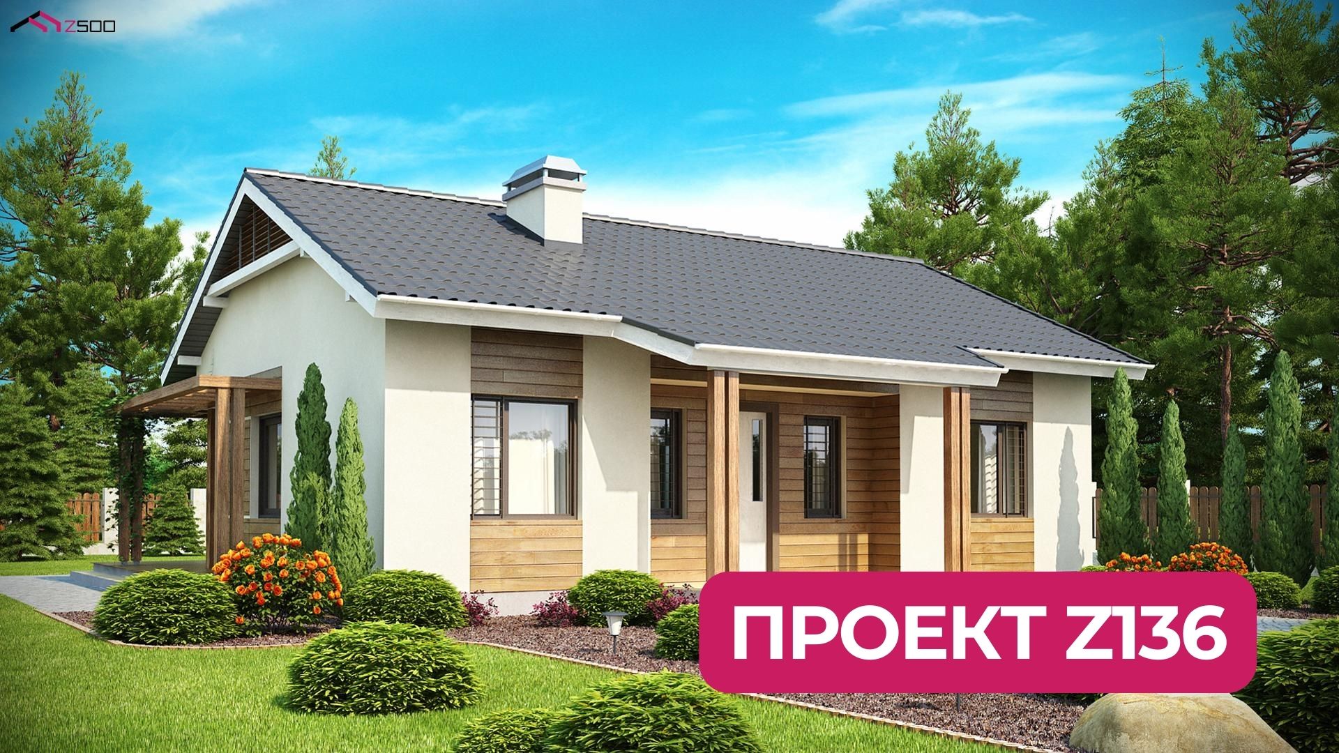 Z136 Проект компактного одноэтажного дома без гаража