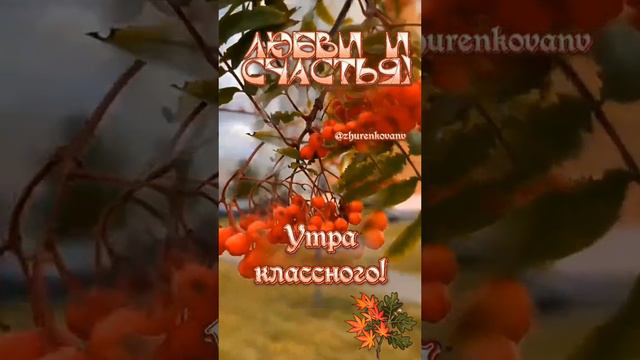 Пожалуйста, поддержите мой труд - поставьте лайк и подпишитесь на мой канал с открытками! Я буду ...