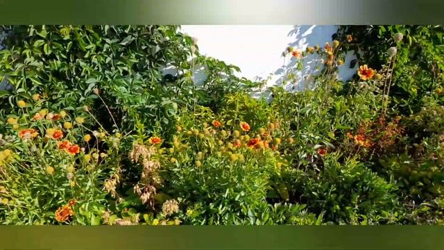 #БегоВяз Ярмарка ? Готовые работы 25.07.- 01.08.2022 , поездка в Океанариум ?