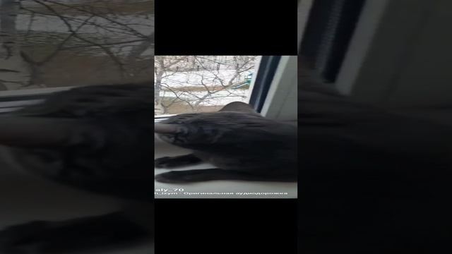 погода такая хорошая)))