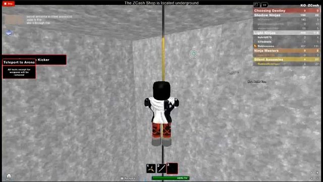 roblox walkthrough insanely hard ninja dojo