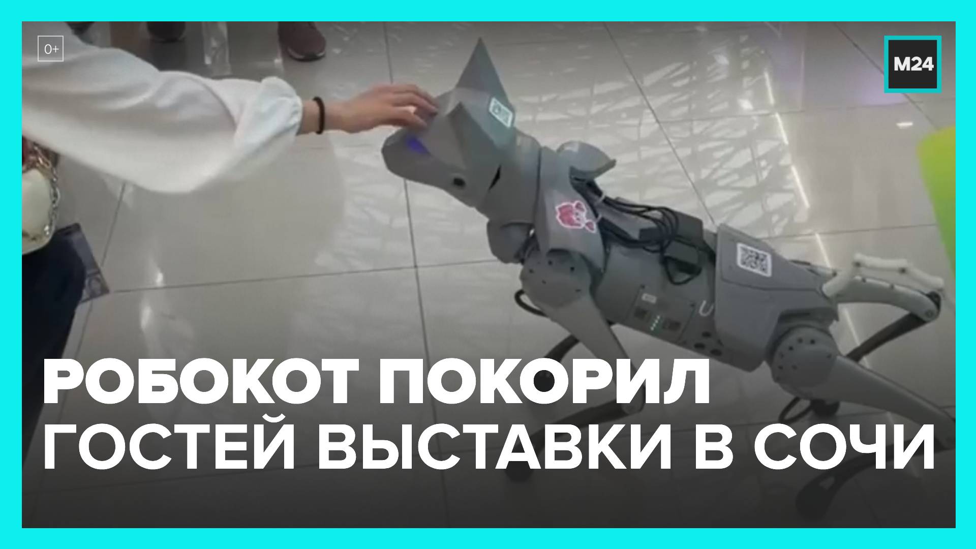 Робокот покорил гостей научной выставки в Сочи - Москва 24