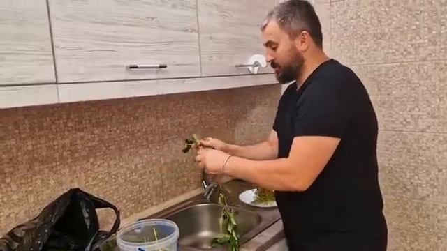 квасим бочковые огурцы, через 3 дня можно есть