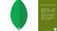 Understanding MongoDB Database.