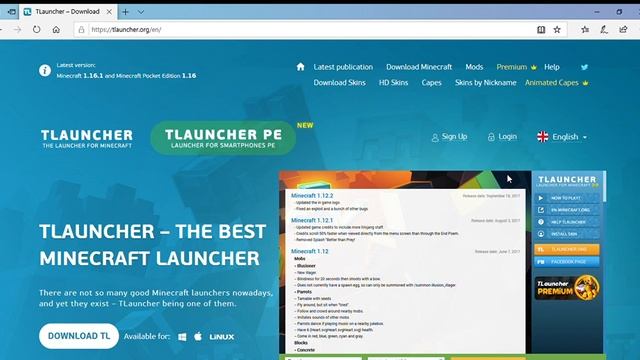 how to download Minecraft java with TL