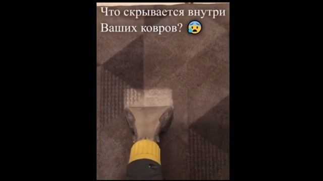 Что скрывается внутри ваших ковров?? Химчистка от Crazy Клининг