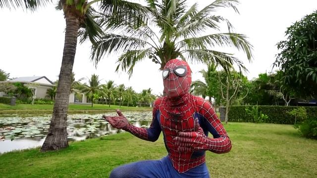 SUPERHERO's ALL STORY 1 || Spider-Man Mansion Drama ( Funny , Dark Movie ) By FLife TV