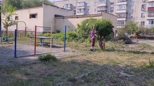 Разнообразие дворов