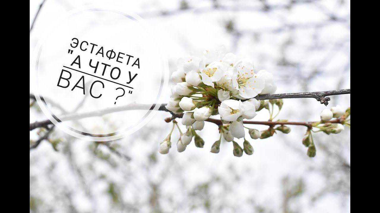 Эстафета "А что у вас?"