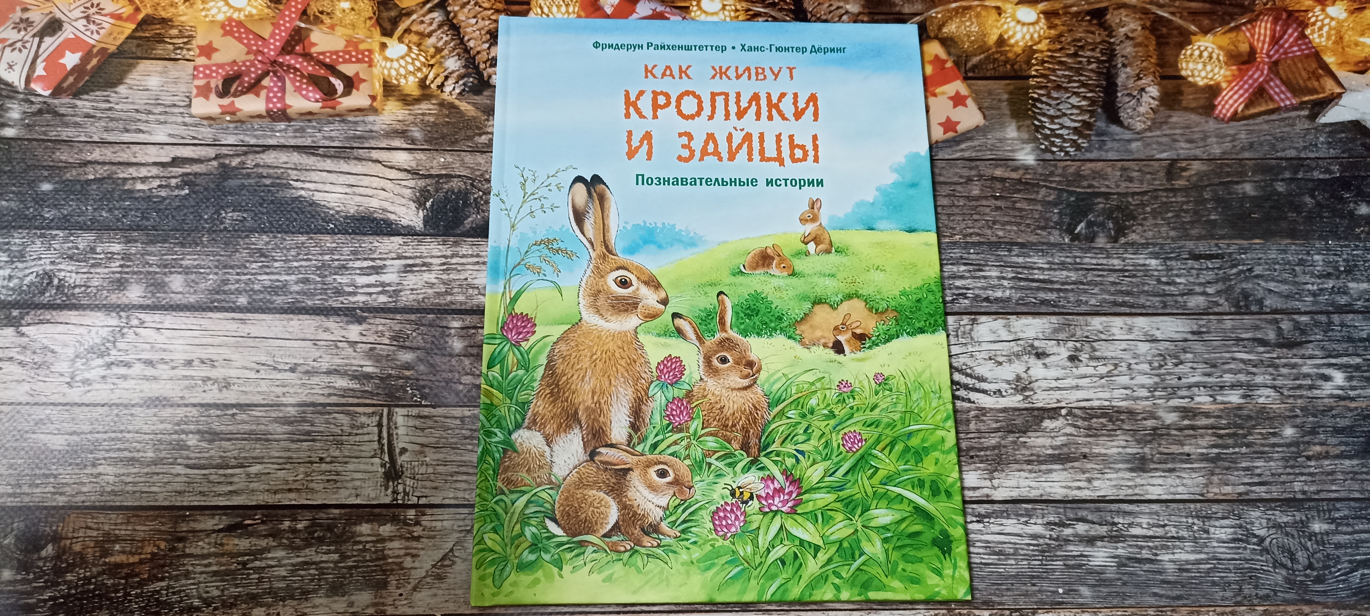 ✨❄ Серия познавательных историй ? Как живут кролики и зайцы?