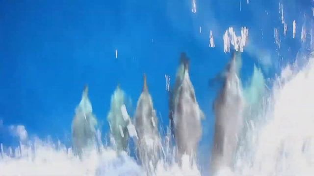 The Best Relax Music and Dolphins Aquarium - Sleep Relaxing Music - 2 Hours