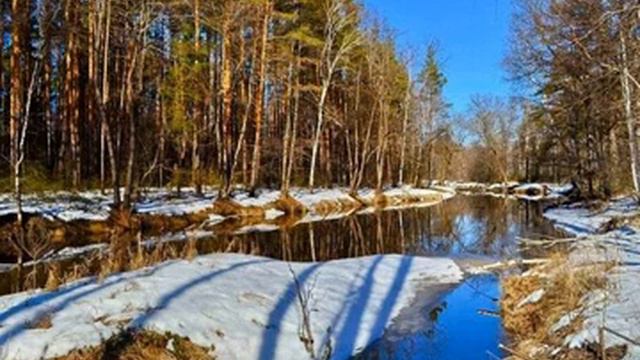 Весна текст Константин Пахомов 
