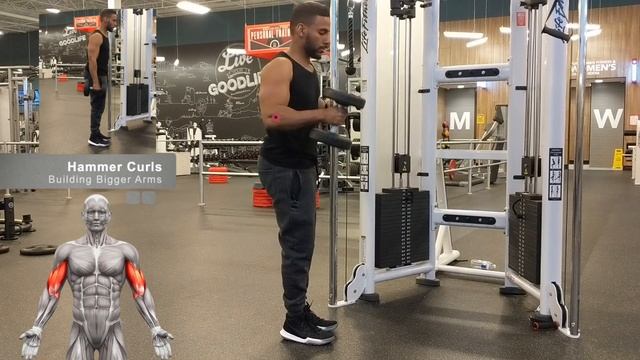 How To Hammer Curl For Building Bigger Biceps