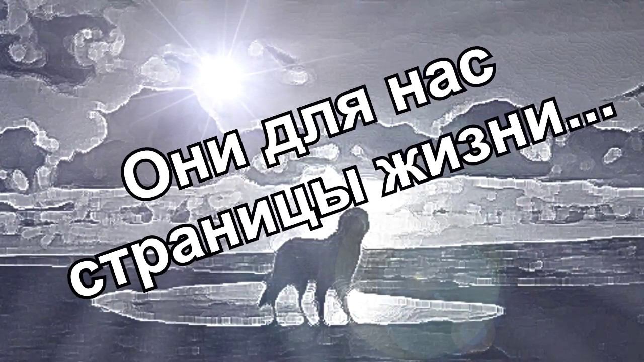 Перминова Лиза "Они для нас страницы жизни"