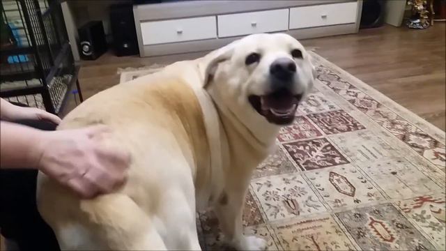 Куда делась Вика?