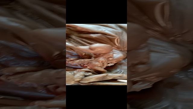 ВОСКОВАЯ ОТЛИВКА. Отлилось жутковатое существо.