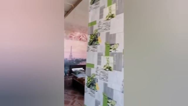 Иришка делает ремонт,Безумный Паша, Олег Монгол, Саня Бык,Катя
