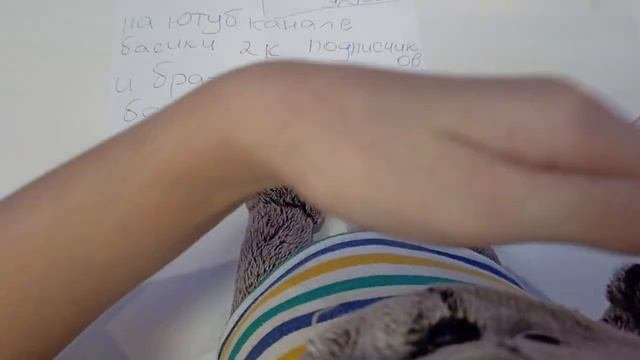 Пишем письмо Деду Морозу❄ с БАСИКАМИ ✨?❄