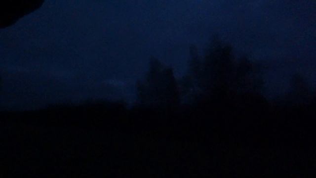 Охота на бобра ! 28.10.21 г. Опять некрупный бобрик приплыл ...