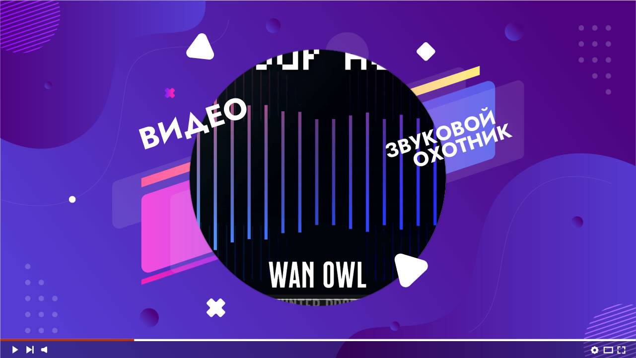 Wan Owl - In Your Hands