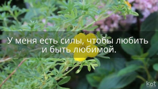Позитивные Аффирмации для Женщин. Релакс