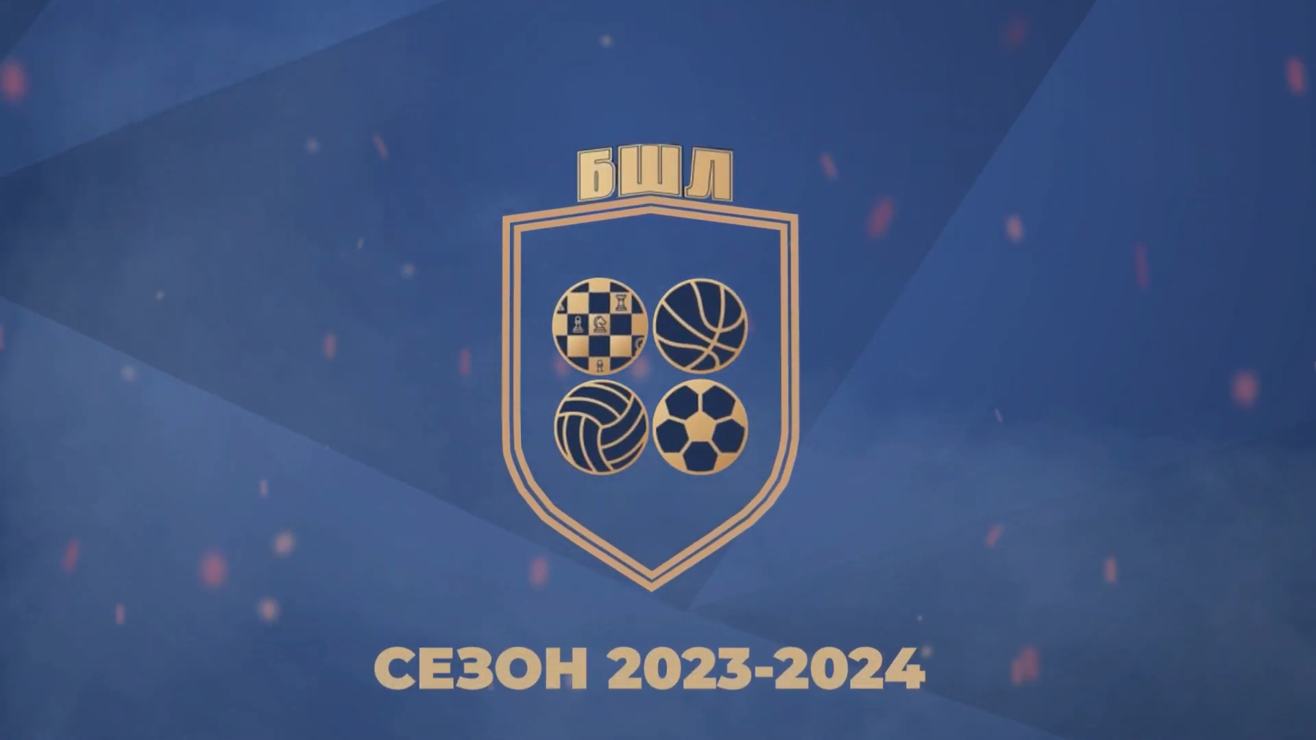 Балашихинская Школьная Лига 2023/2024
