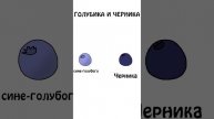 "Как различать голубику и чернику" #анимация #шортс #продукты #академияброкколи #голубика #черника