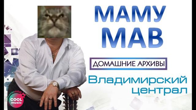 Владимирский кiт мав к 11 туз