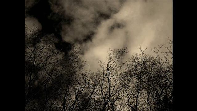 Fabio Massimo Capogrosso -Trio - Un breve Racconto notturno - Soccorsi,Oosterbaan, Feruleva