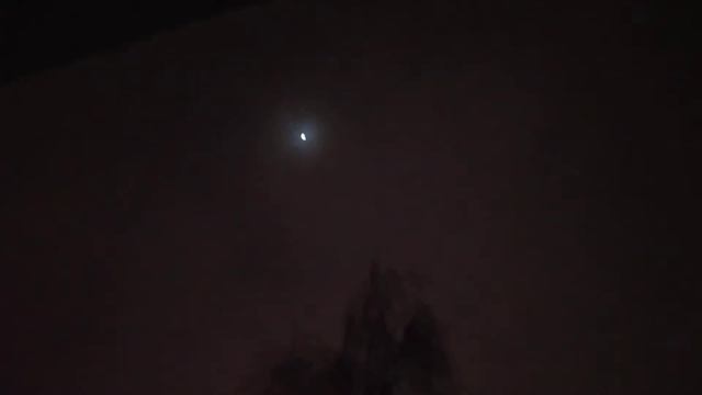Лунное магическое утро - снег остановлен ... 16 11 22...