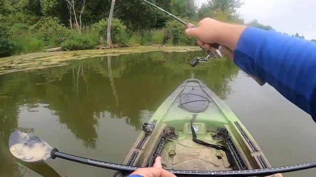 Which Bait Will Fish Go After? Berkley Gulp! Minnows vs Nightcrawlers